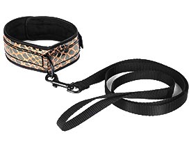Collar and Leash-Faux Leather