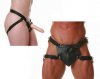 Chastity and Harnesses
