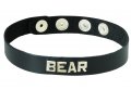 Wordband Collar - BEAR