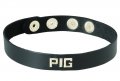 Wordband Collar - PIG