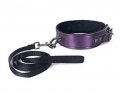 COLLAR AND LEASH-FAUX GALAXY LEGEND LEATHER